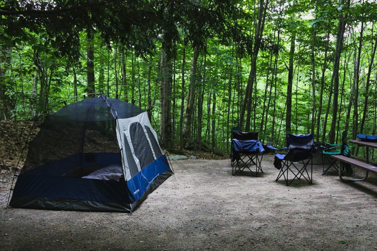 camping foret saint jean de monts