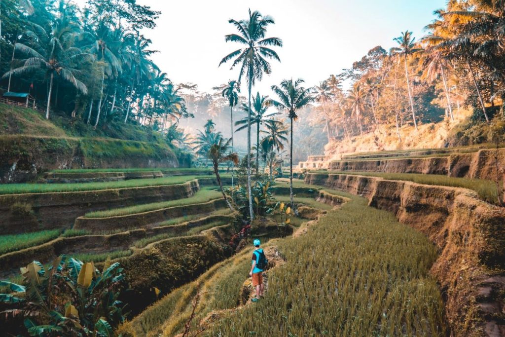 partir en voyage à Bali