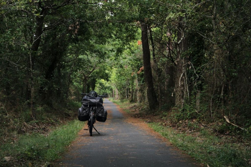 Vélodyssée en foret