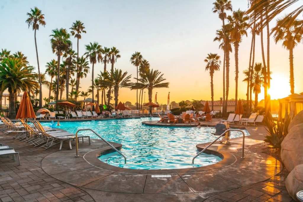 piscine avec palmiers