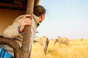 plus belles destinations safari en Afrique