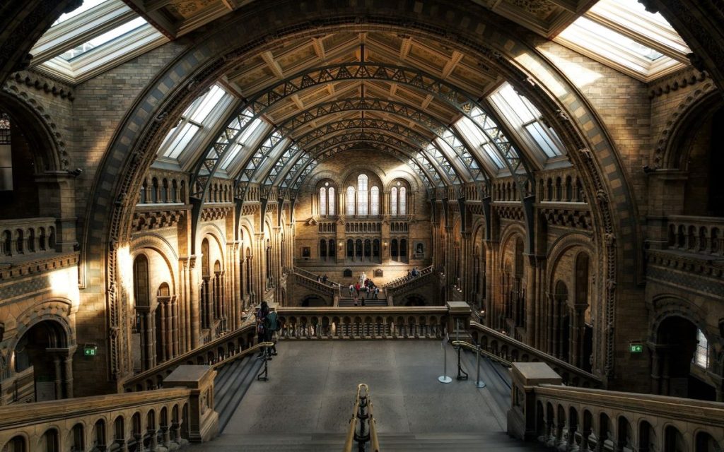 Londres musée d'histoire naturel