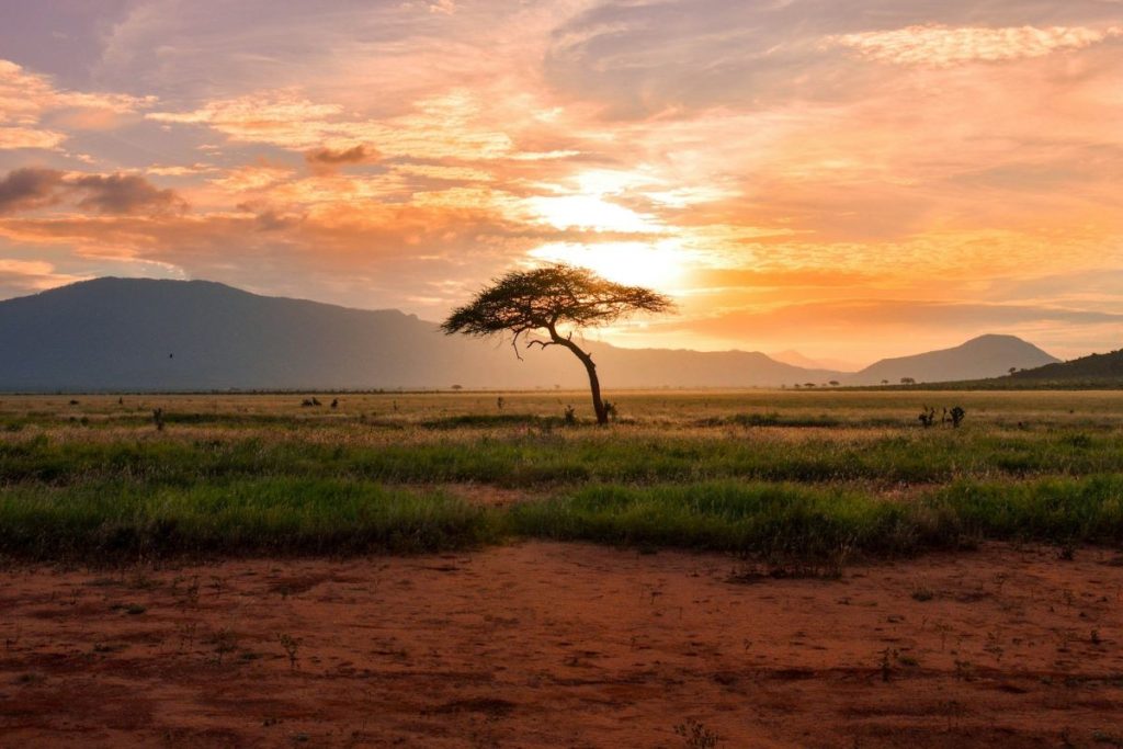 saison pour partir au Kenya