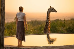 femme regardant en girafe en safari