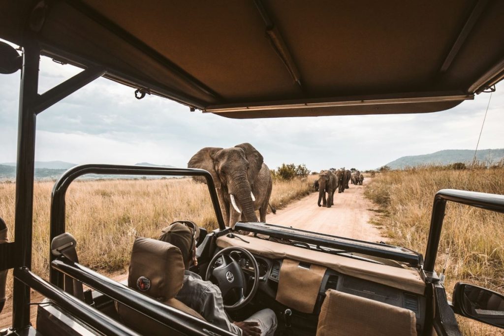 safari au Kenya en voiture